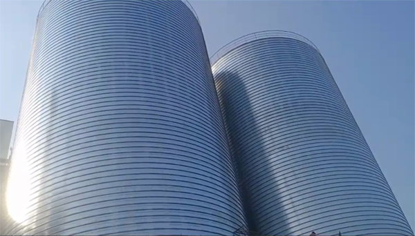 青海2座混凝土高架卷板仓